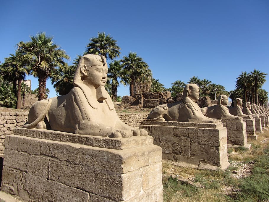 Faraón, Esfinge, Egipto, Antiguo, Escultura, egipcio, piedra, luxor, monumento, pasado