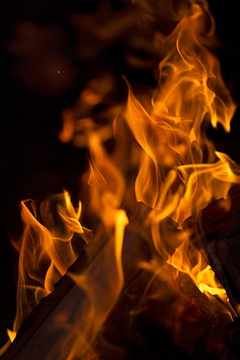 camp, fire, flames, night, firewood, burning, warm, burn, hot, warmth ...