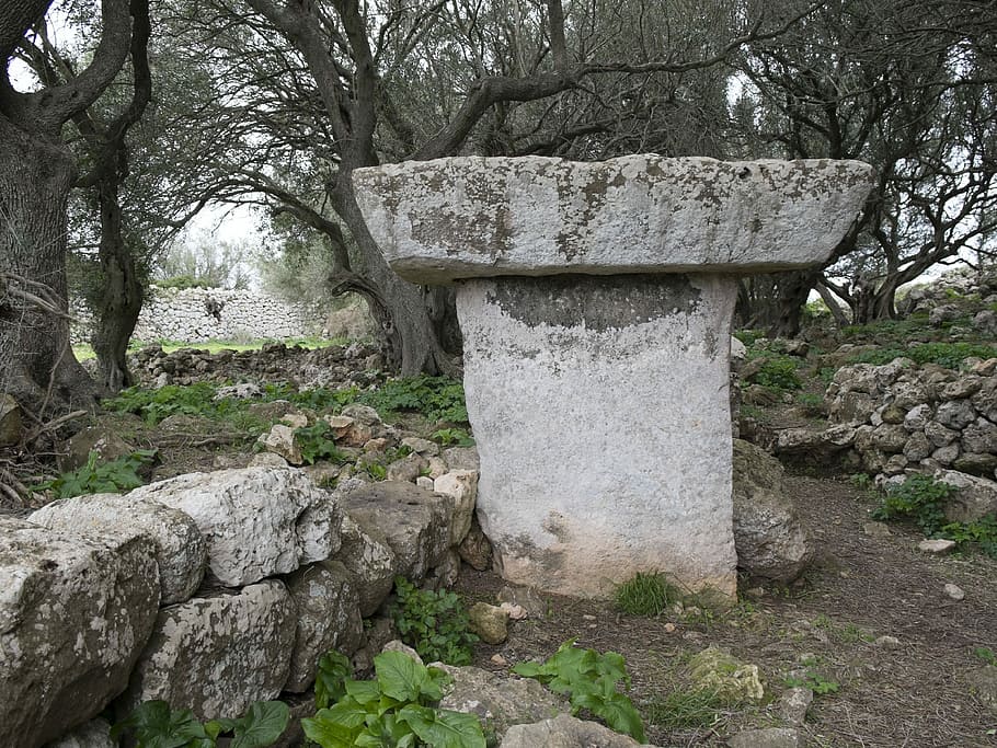 Prehistory, Minorca, Talaiot, Ciutadella, cemetery, stone material, tombstone, tree, memorial, plant