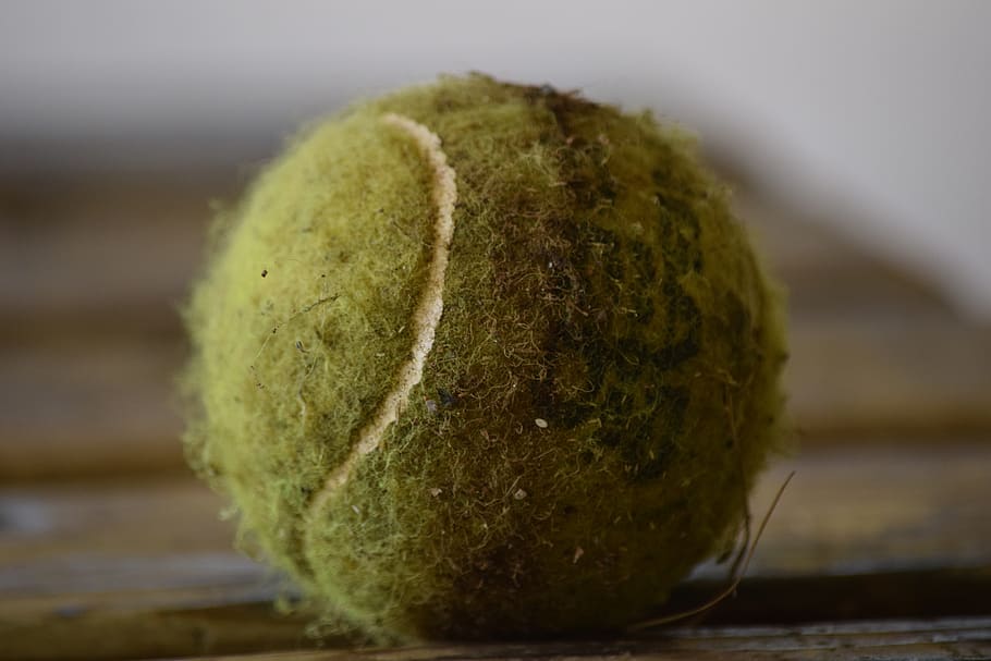 ball, tennis, dirty, amaillo, sport, yellow, exercise, sports, sphere, food and drink