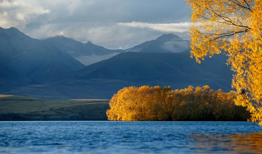 Musim gugur, Danau Tekapo, NZ, danau musim gugur, air, keindahan di alam, gunung, pemandangan - alam, pohon, tanaman