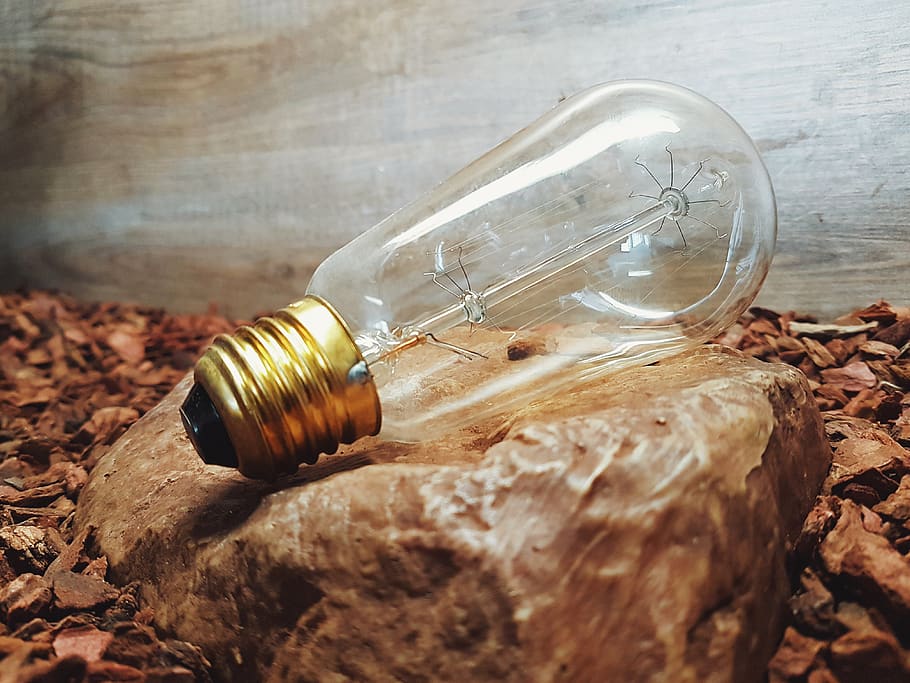 bulb, light, spark, lamp, rock, stone, glass - material, close-up, light bulb, transparent