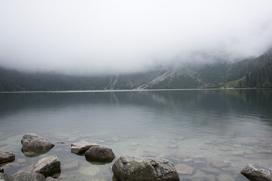 paisaje, morskie oko, lago, la niebla, polonia, naturaleza, agua, niebla, sólido, roca