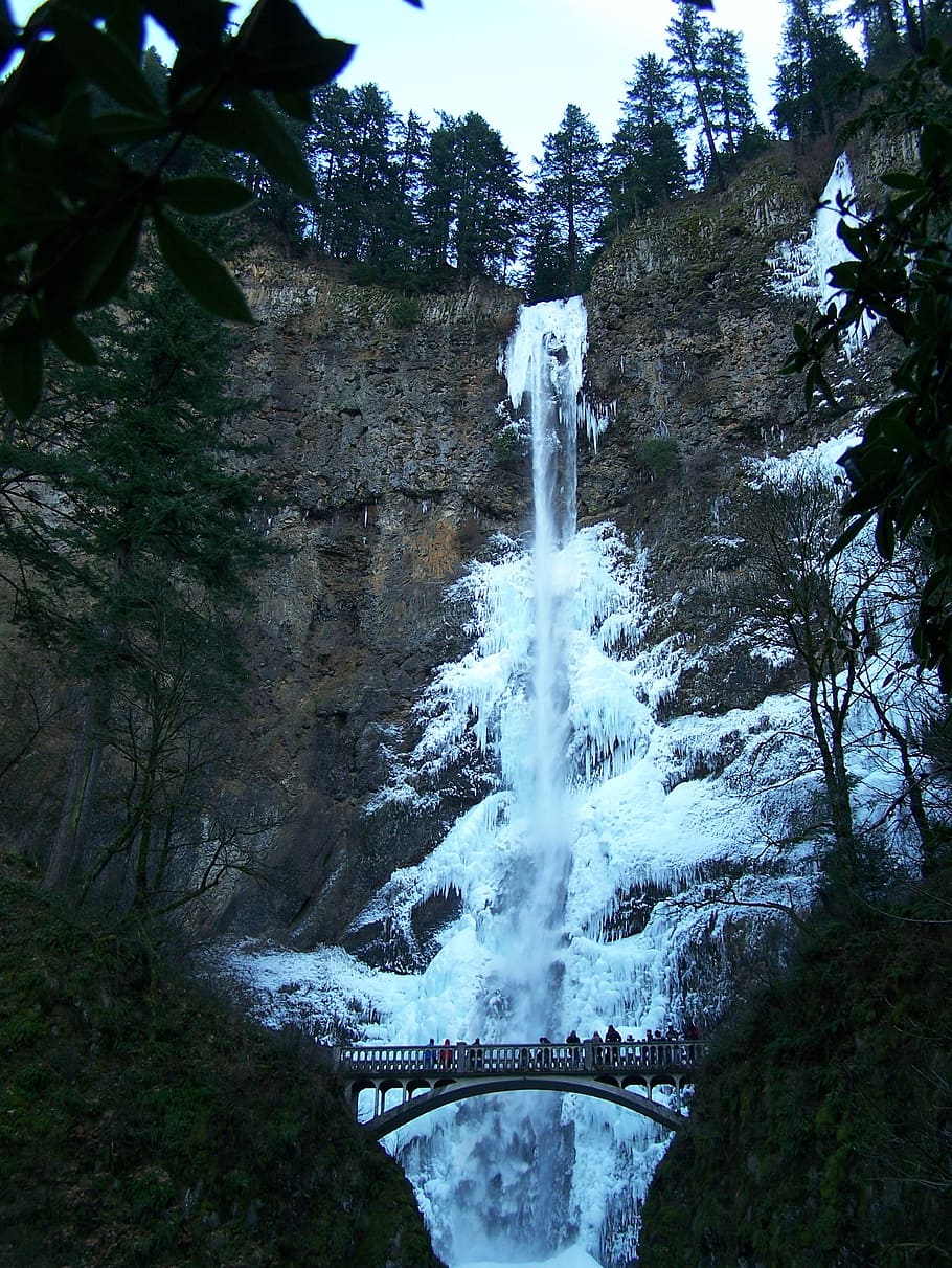 waterfall, frozen waterfall, winter, multnomah falls, multnomah, icy waterfall, tree, water, plant, motion