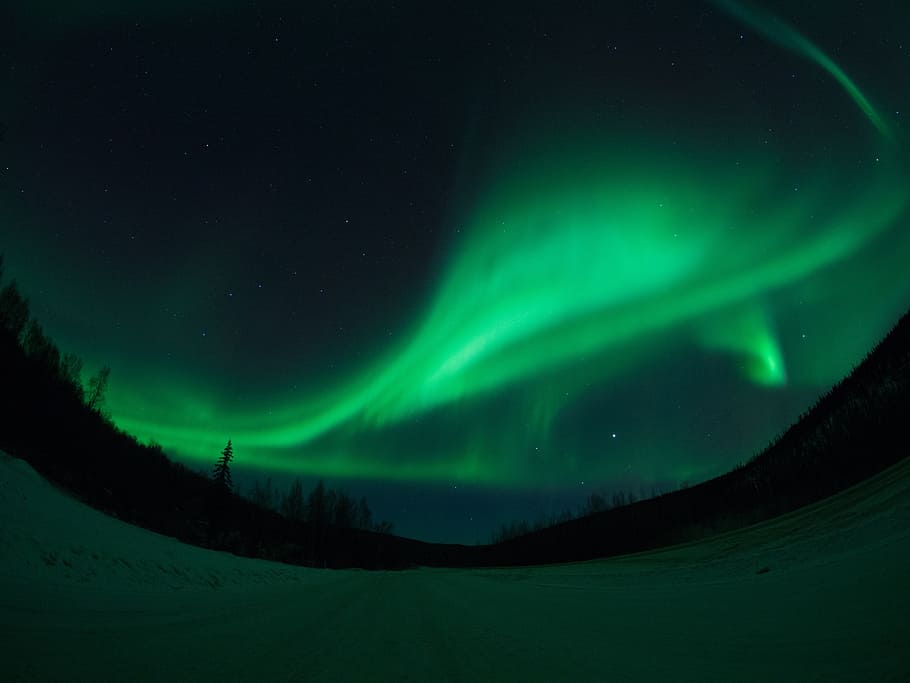 auroras boreales, aurora, alaska, fairbanks, nieve, cielo, carretera, cielo nocturno, cielo estrellado, noche