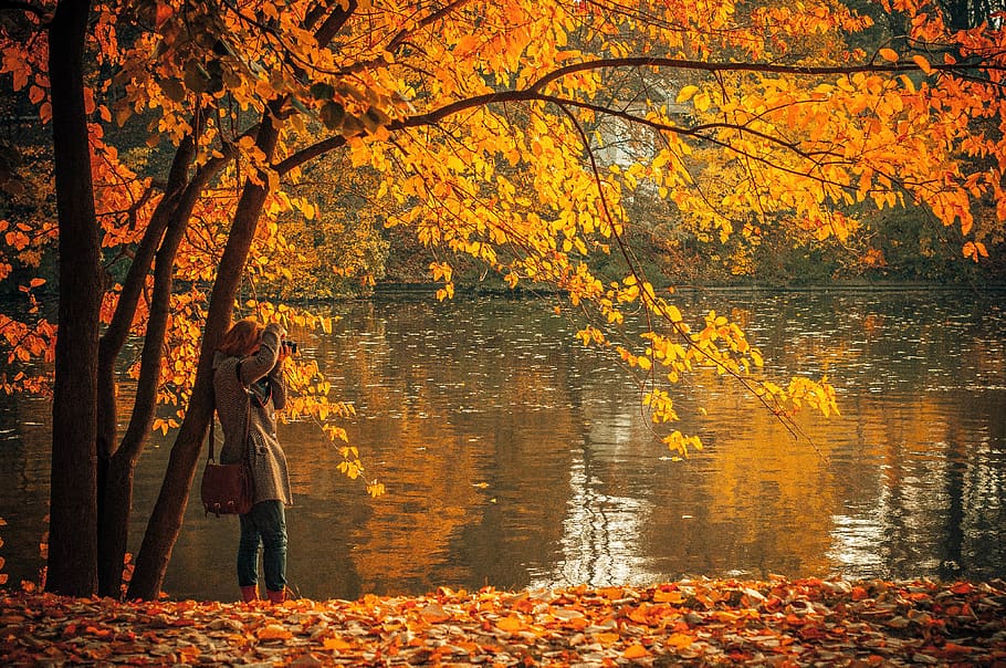 autumn, fall, leaves, colors, water, lake, girl, woman, camera, purse