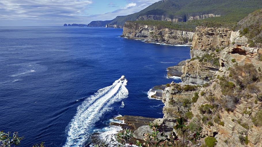 tasmania, tasman arch, coast, australia, rock, park, lookout, erosion, ocean, boat