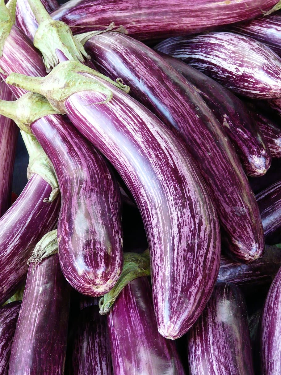 piled, purple, eggplants, eggplant, mark, violet, striped, solanum melongena, fruit, market