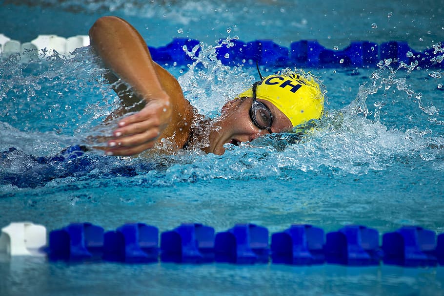 person, swimming, competition, swimmer, female, race, racing, pool, water, lane
