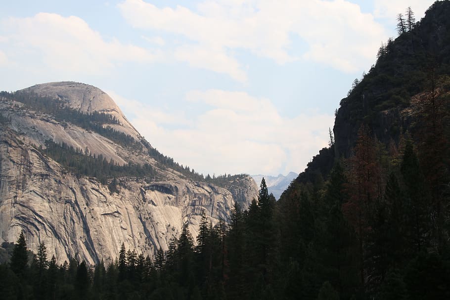 yosemite, mitad, cúpula, montaña, montañas, parque nacional, estados unidos, américa, california, sobre la marcha