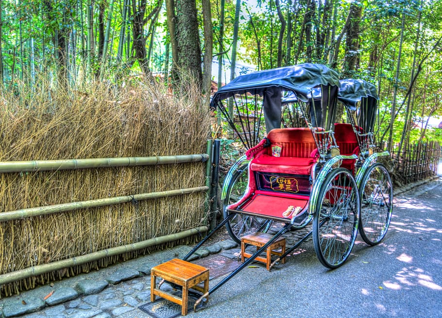 Japón, arashiyama, bosque de bambú, rickshaw de hierba, personas, persona, verde, hito, atracción, japonés