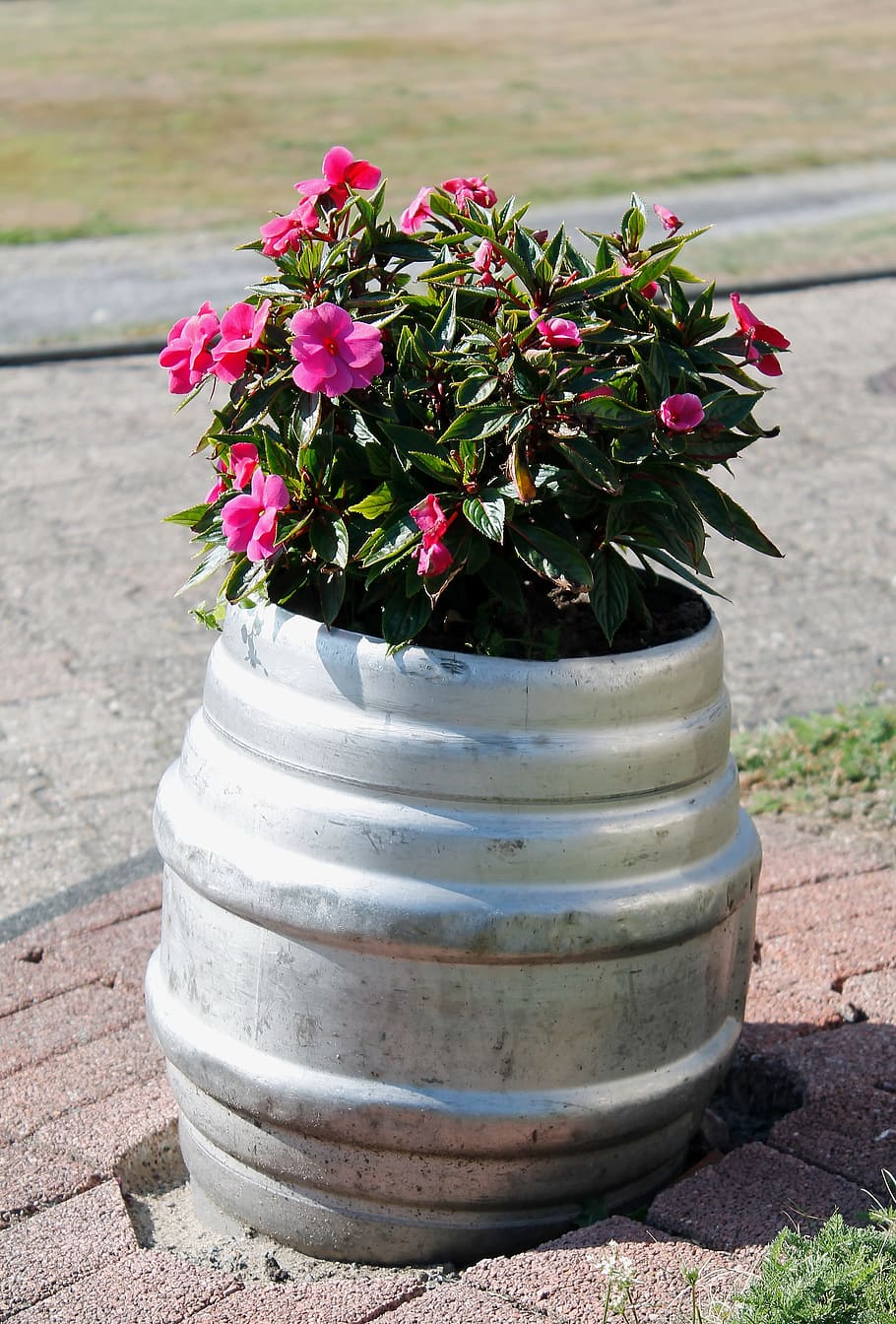 Flowers, Beer Keg, Planters, Plant, nature, flower, outdoors, flower Pot, summer, day