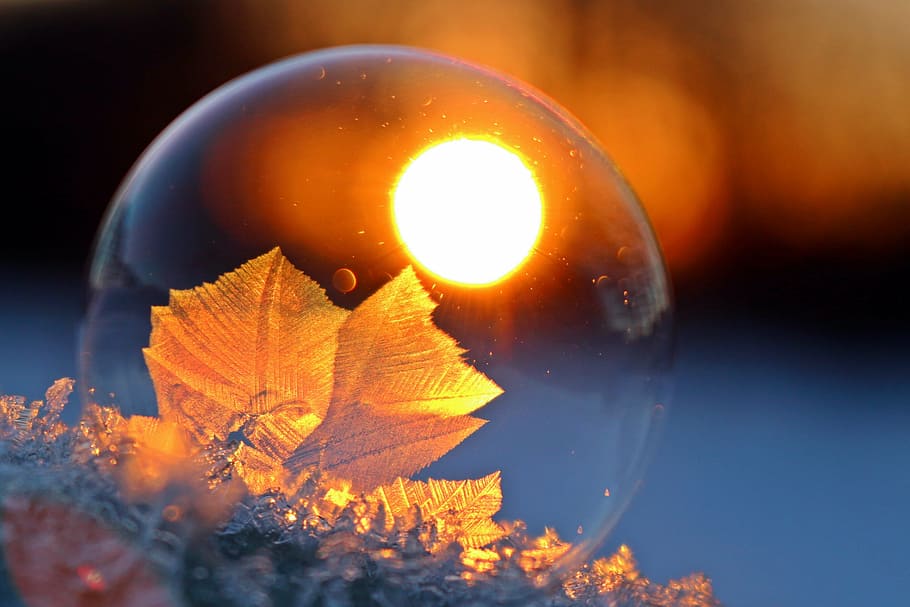 gray, leaf, glass container macro photograpy, hardest, soap bubble, eiskristalle, afterglow, sunset, winter, frost