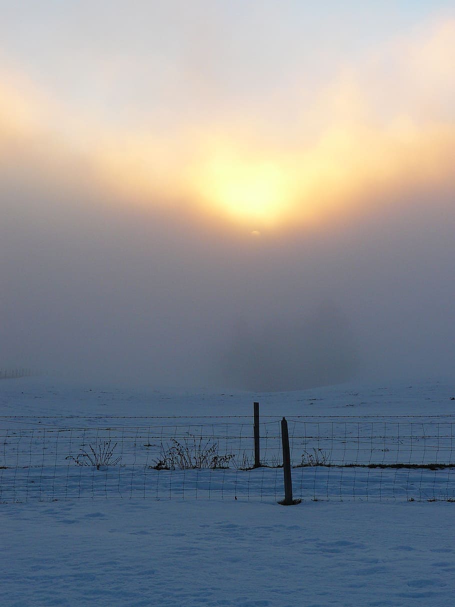 winter mood, sun, fog, clouds, atmospheric, nature, snow, winter picture, tundra, cold