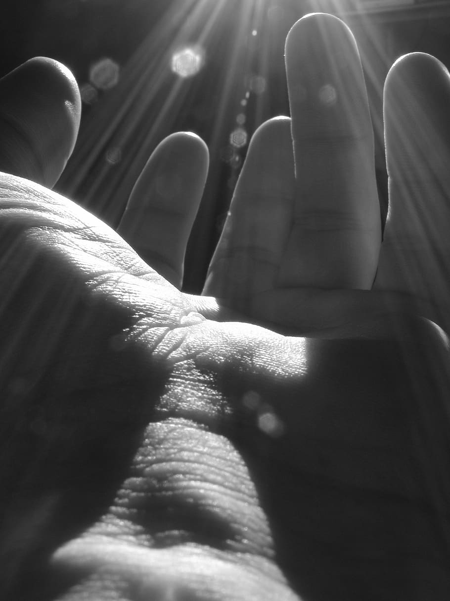 hand, god, light, reaching, man, unity, renaissance, human body part, human hand, body part