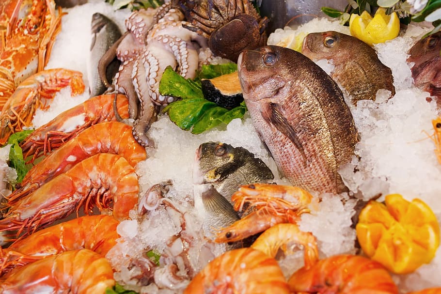 food photography, shrimps, fishes, seafood, food, healthy, sea, fresh, fish, restaurant