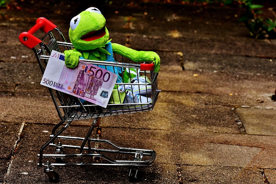 muppets frog, shopping card, holding, 500 banknote, Kermit, Shopping Cart, Frog, shopping, fun, stuffed animal