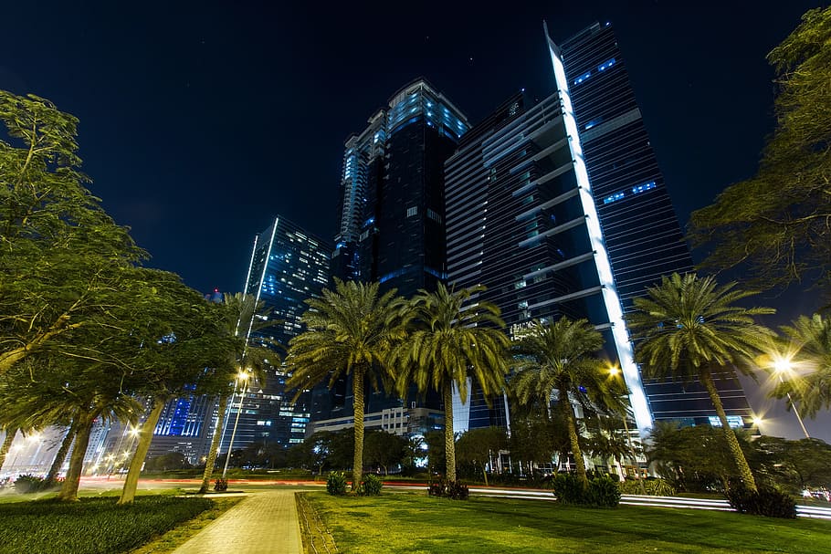 palm trees, park, high-rise, building, dubai, city, night, arab, architecture, urban