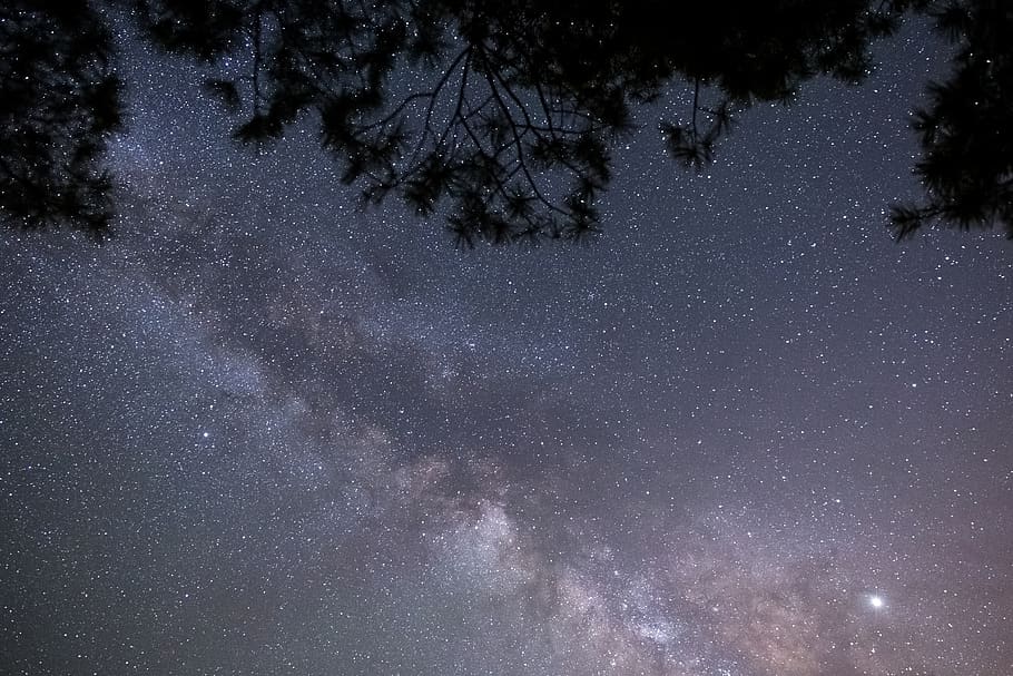 árvore, noite, estrelado, céu, Via Láctea, galáxia, espaço, árvores, silhueta, natureza