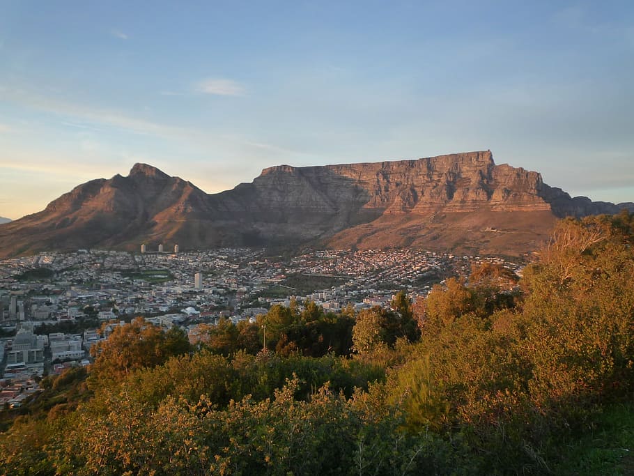 table mountain, cape town, south africa, mountain, cape, africa, south, sea, city, tourism