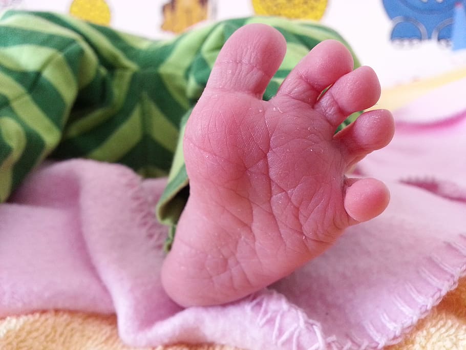 Foot, Small, Child, Ten, baby, small child, sole of the foot, reborn, pink Color, close-up