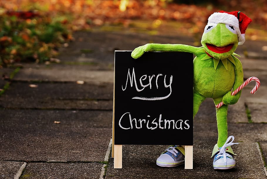 brown, hermit, frog, plush, toy, holding, merry, christmas signage, kermit, christmas
