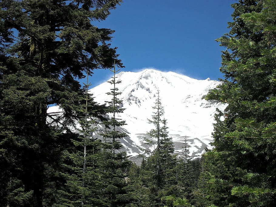 Monte Shasta, Montaña, Árboles, Paisaje, natural, pico, escena, vista, bosque, naturaleza