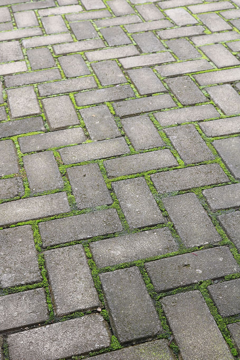 stone, pavement, pattern, footpath, cobblestone, paving, ground, avenue, tile, floor