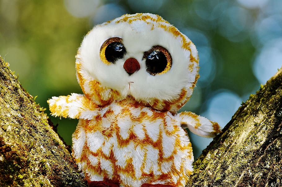 Barn Owl, Bird, Feather, Glitter, Eyes, glitter eyes, stuffed animal, soft toy, cute, sweet