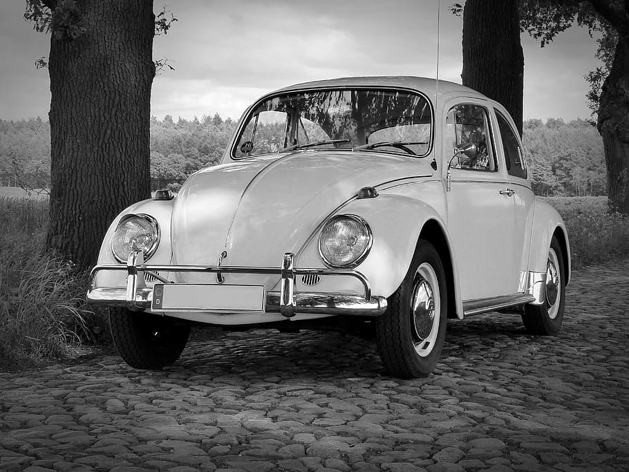 white volkswagen beetle, vw, beetle, oldtimer, classic, cobblestones, old, herbie, vw beetle, auto