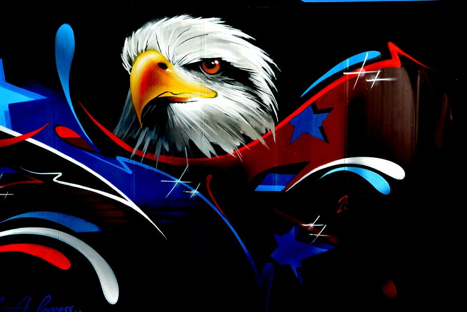 lukisan elang, Elang, Grafiti, dinding grafiti, seni dinding, seni jalanan, hitam, kepala, burung, dinding