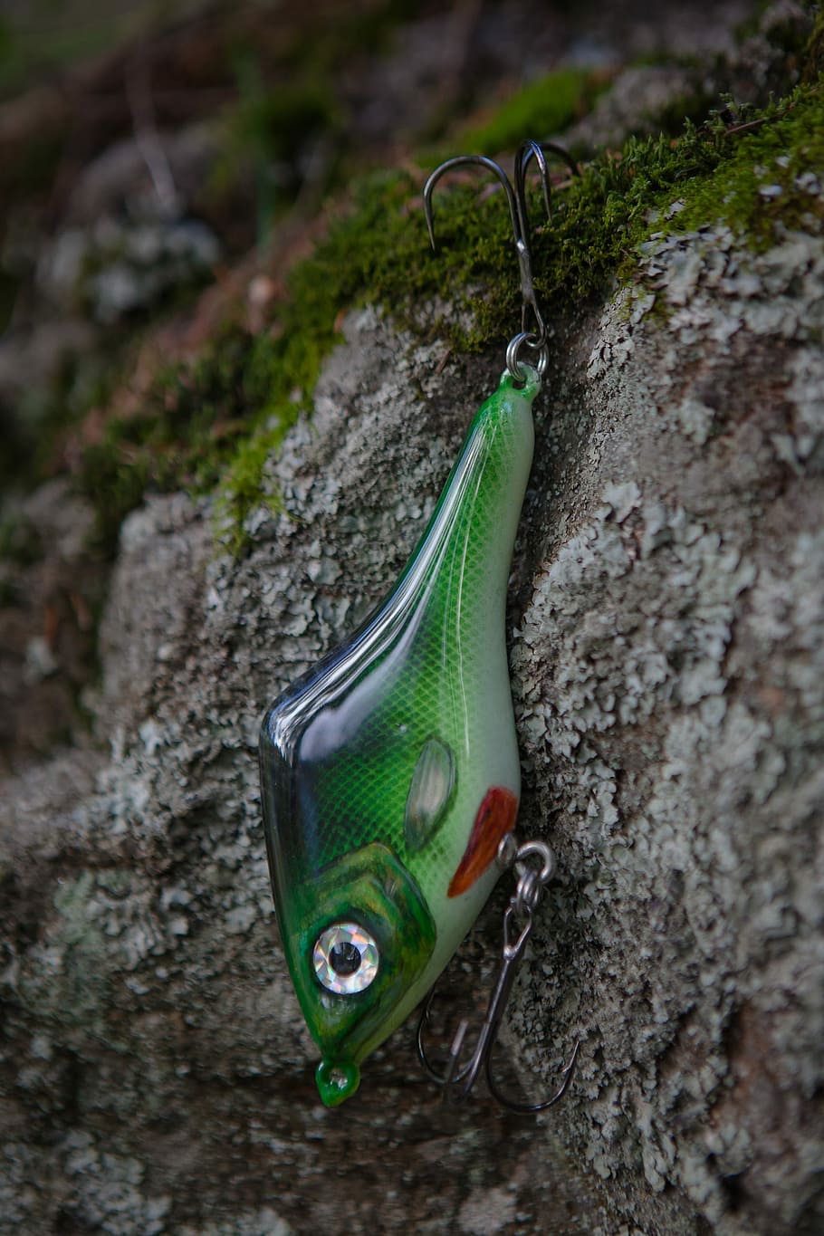 Pike, Features, Fishing Lures, fishing, outdoors, day, close-up, green color, hanging, plant