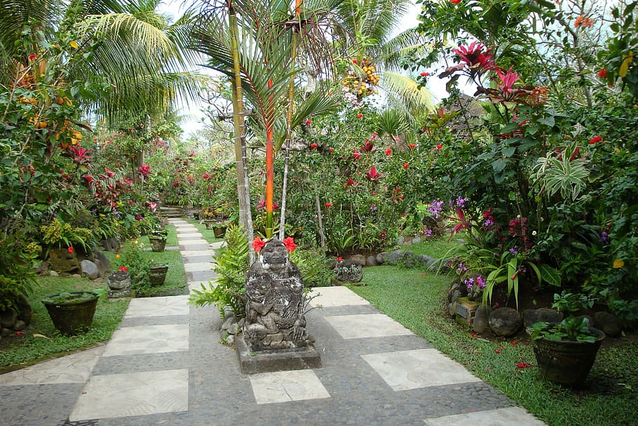 garden, tropical, bali, peace, plant, flower, day, growth, nature, outdoors