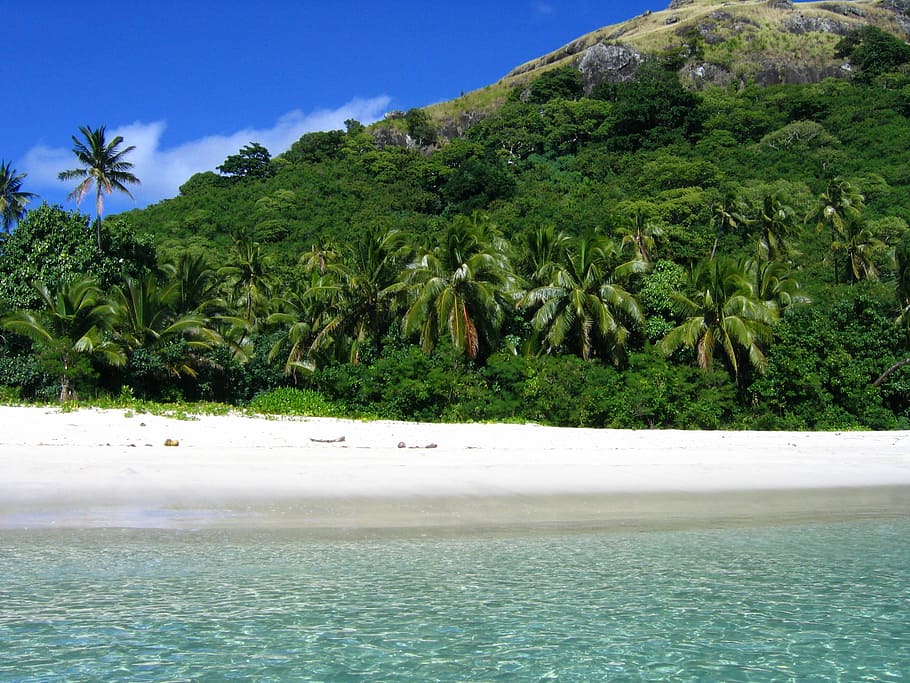 clear, sky, beach shore, Fiji, Beach, Tropical, Sand, Water, Palm, pacific