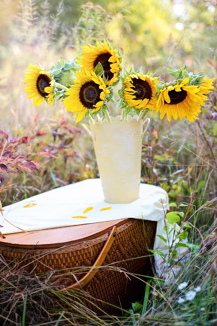 yellow, sunflowers, vase, brown, wicker picnic basket, fall, autumn, bouquet, flowers, thanksgiving