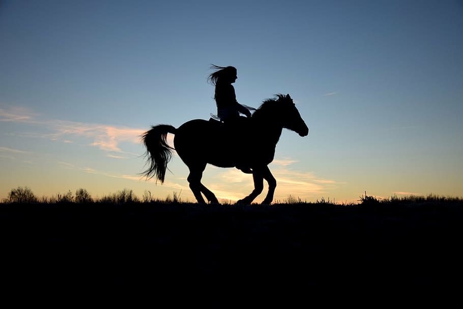 silhouette photo, person, riding, horse, silhouette, sunrise, dam, ride, human, reiter