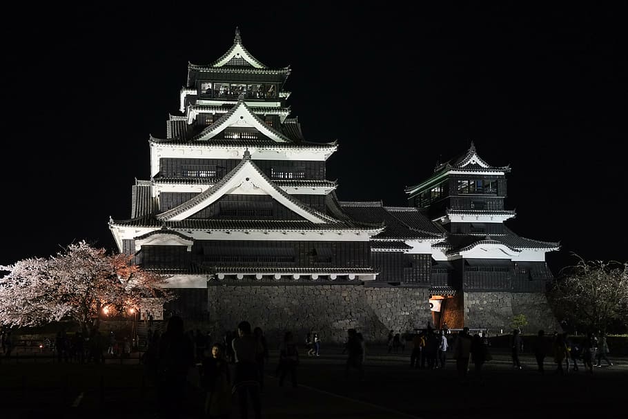 group, people gathering infront, castle, japan, kumamoto, kumamoto castle, night, cherry, architecture, built structure