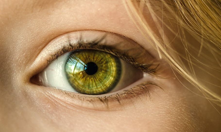 Глаз на желтом фоне hydra килограмм марихуаны цена