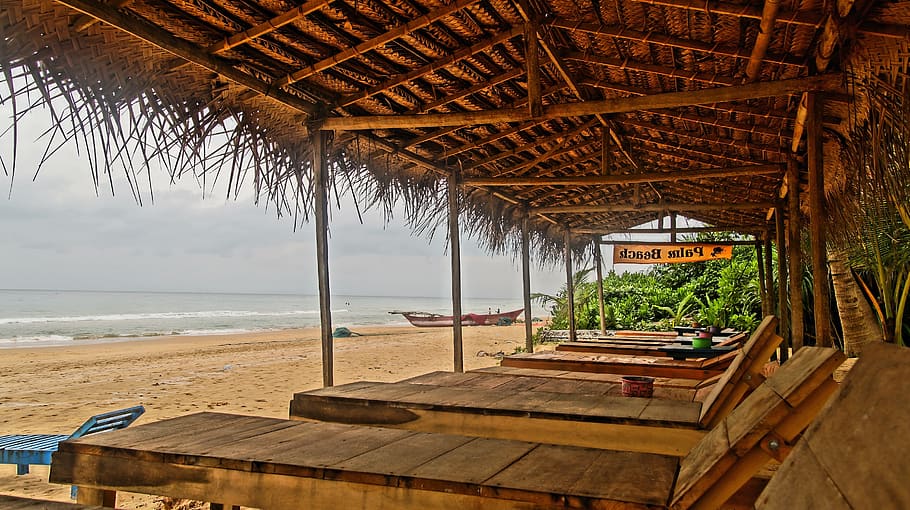 sri lanka, beach, loneliness, tropical, vacations, concerns, palm trees, tropics, beautiful beach, sand