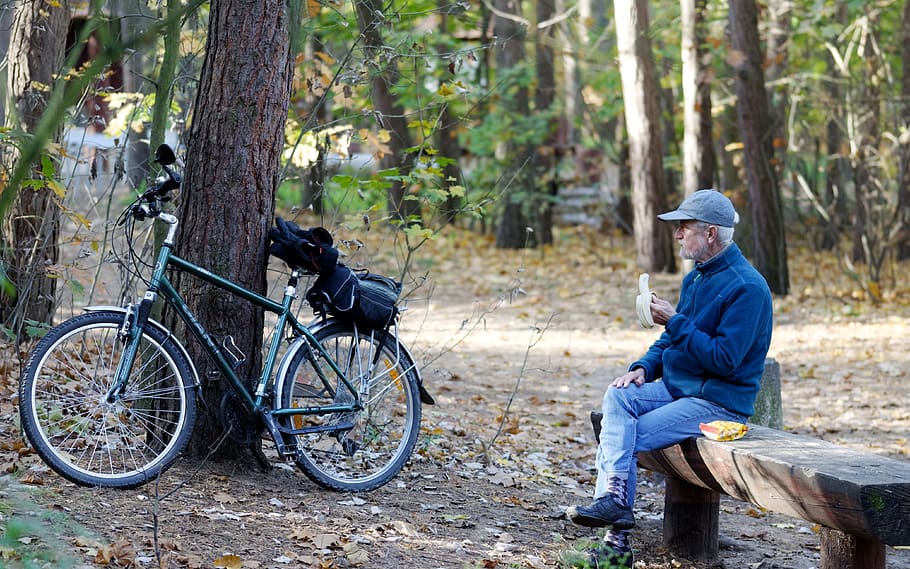 hombre, persona, antiguo, gorra, jeans, bicicleta, bosque, sentado, banco, madera