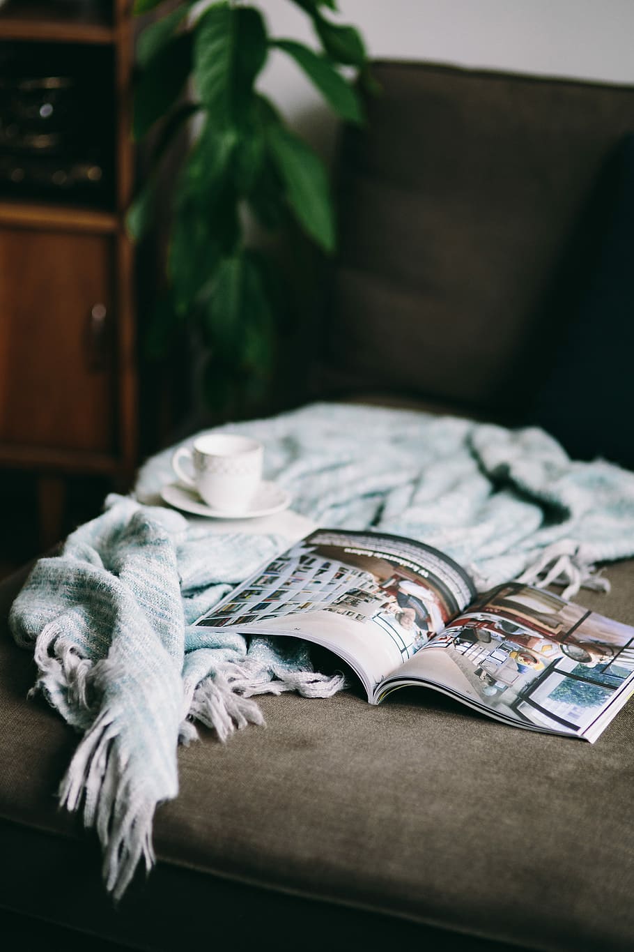resting, magazine, cute, puppy, interior, relax, relaxing, read, reading, chaise longue