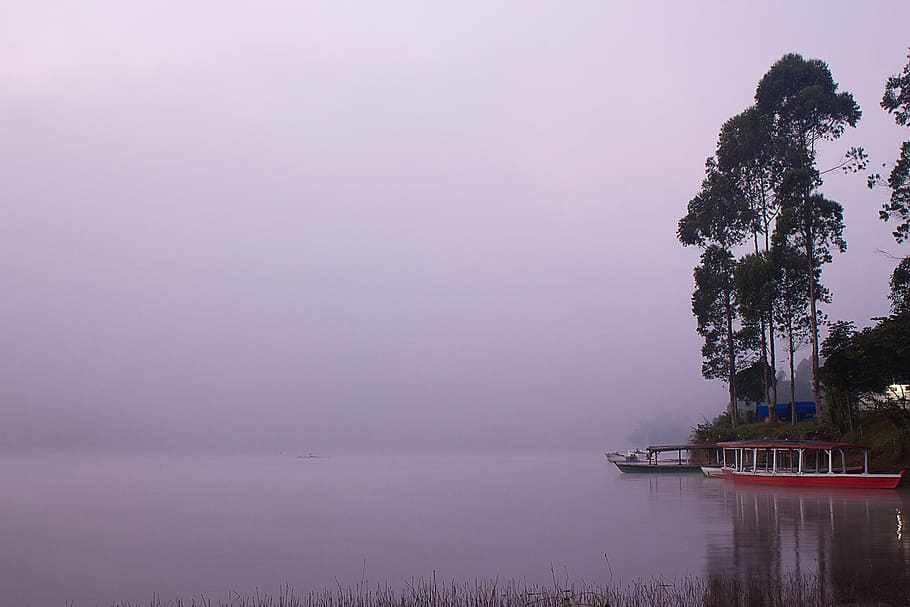 red, boat, trees, nature, landscape, water, river, lake, fog, travel