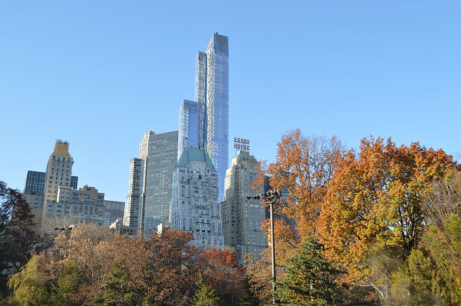central park, new york, united states, built structure, tree, architecture, building exterior, building, autumn, plant