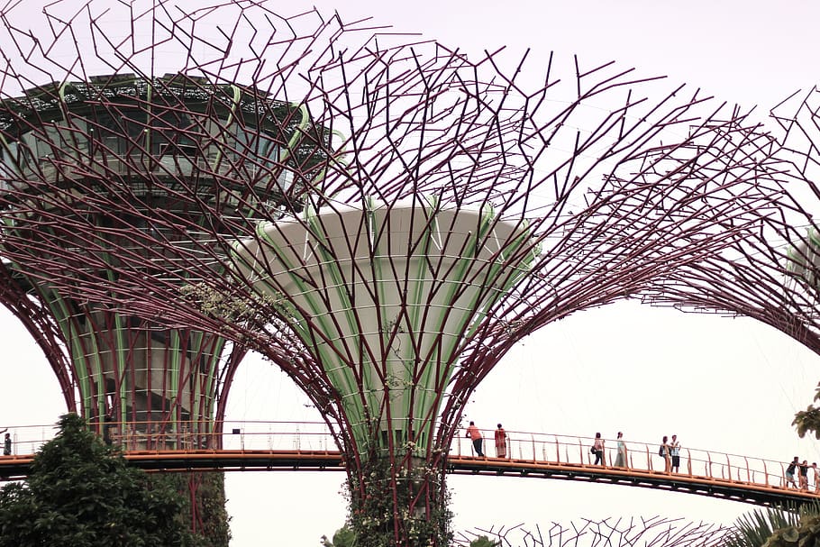 taman, singapore, garden by the bay, futuristik, Asia, modern, warna-warni, marina, supertree, daya tarik