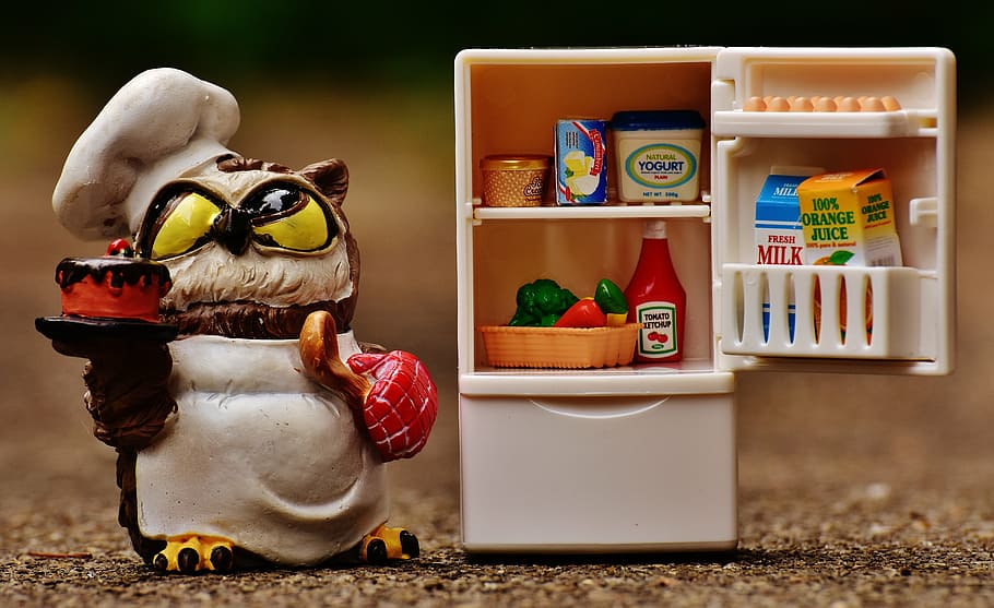 brown, owl chef figurine, white, plastic refrigerator toy, owl, bake, cook, refrigerator, figure, cute