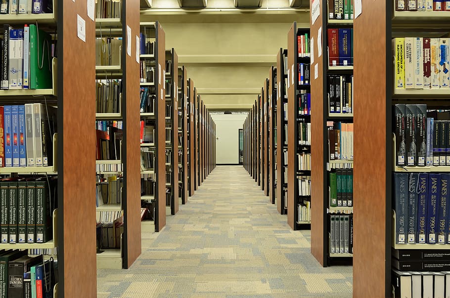 fotografia, corredor, biblioteca, livros, conhecimento, informação, estantes, estante, dados, faculdade