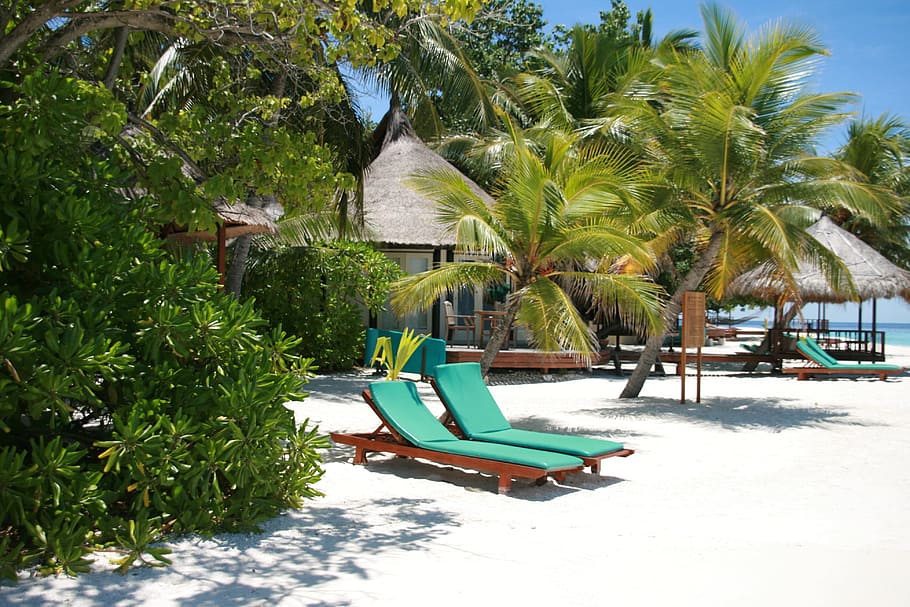 green, lounge chairs, surrounded, trees, daytime, Maldives, Chaise, Vacation, Summer, beach