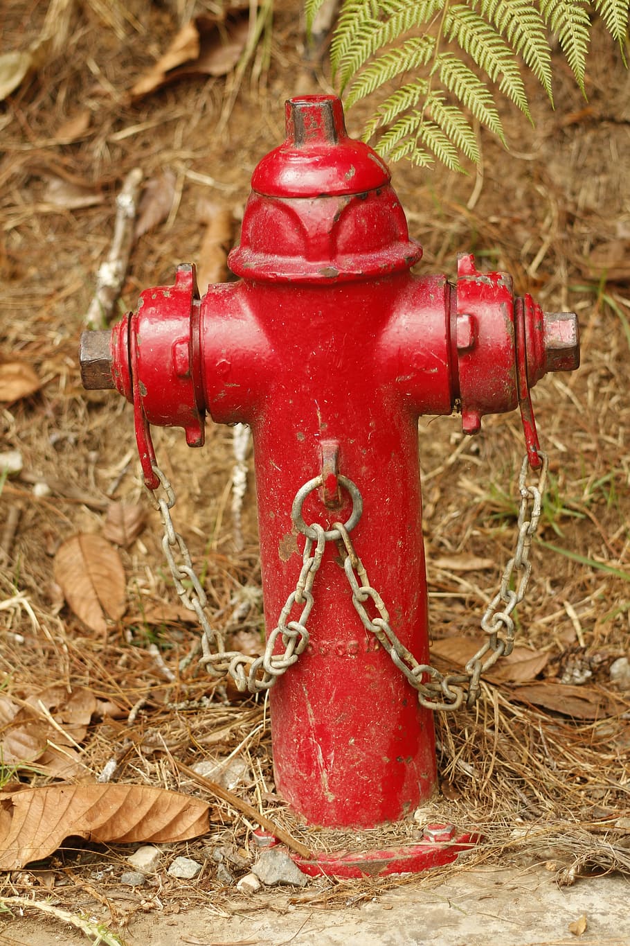 fire hydrant, water, red, firefighter, security, safety, protection, accidents and disasters, chain, emergency equipment