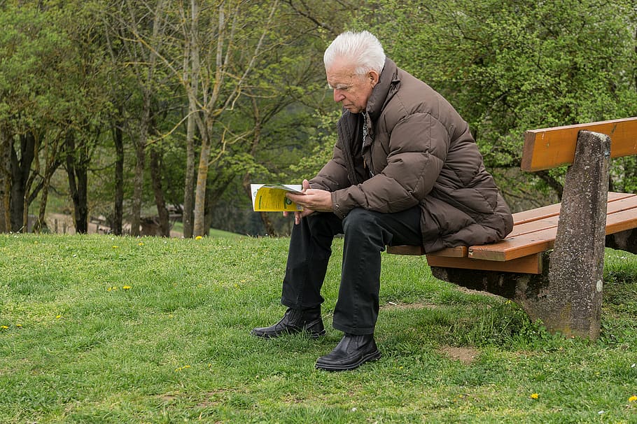 hombre, sentado, libro de lectura de banco, abuelo, jubilación, sentarse, persona, banco, camino, armonía