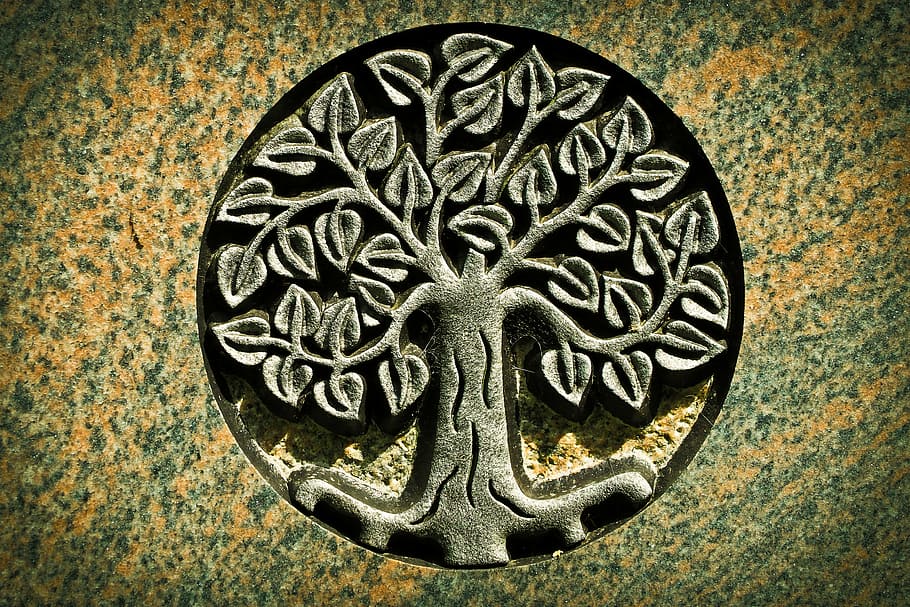 tree, life, engraved, graphic, tombstone, grave, cemetery, mourning, stone, transience